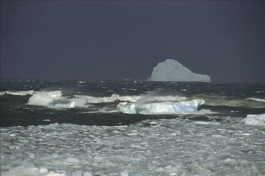 冰山,湾,巴芬岛,加拿大