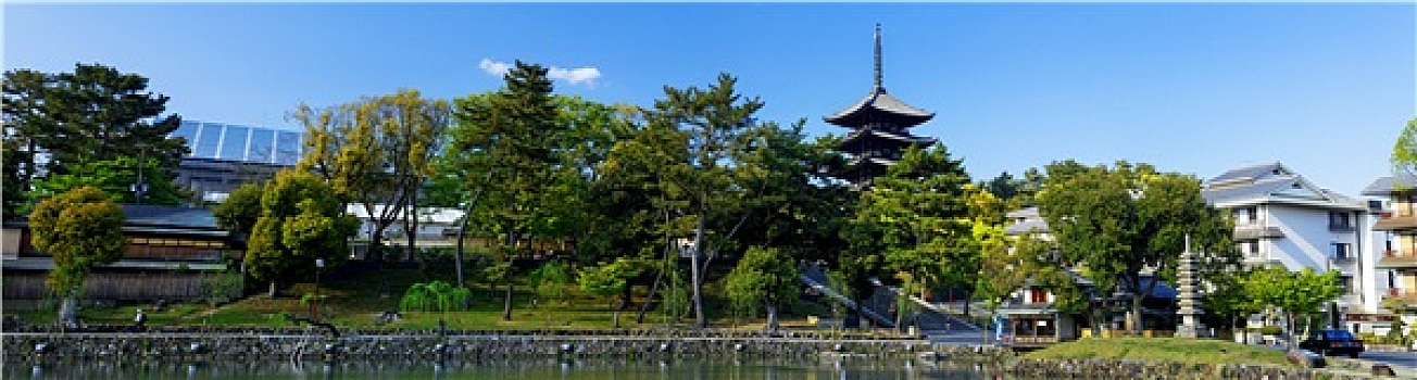 奈良,日本,水塘