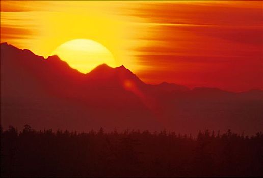 日落,兰格尔,国家公园