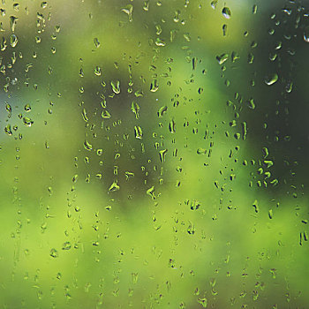 自然,水滴,窗玻璃,绿色背景