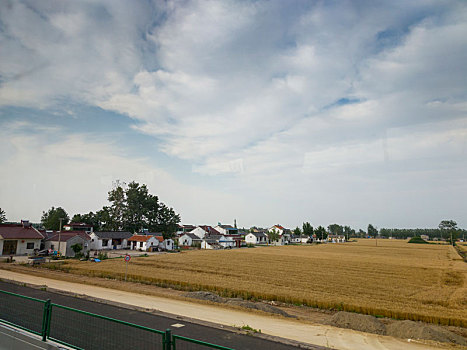 夏日苏北田园风光