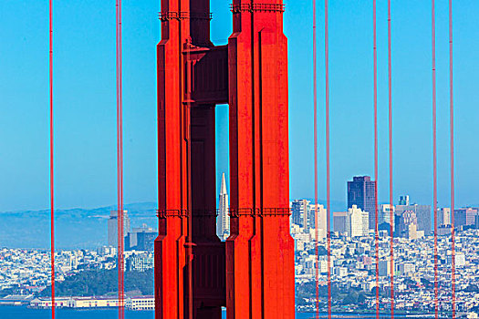 旧金山,金门大桥,线缆,加利福尼亚