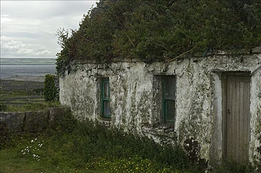 户外,房子,阿伦群岛,岛屿,爱尔兰