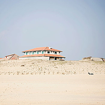 房子,靠近,海滩