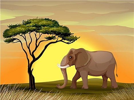 大象,树