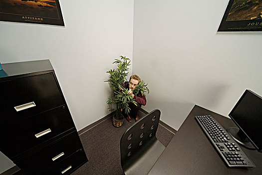 男人,隐藏,后面,植物,办公室