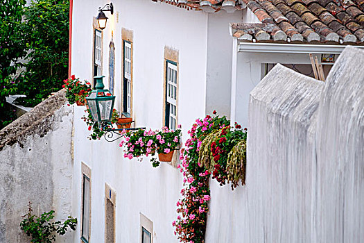 葡萄牙,奥比都斯,古城,墙壁,中世纪,建筑,历史,白色,彩色,装饰,房子,路灯,盆花