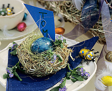 鸟窝,蓝色,复活节彩蛋,席次牌