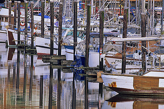 渔船,码头,温哥华,不列颠哥伦比亚省,加拿大