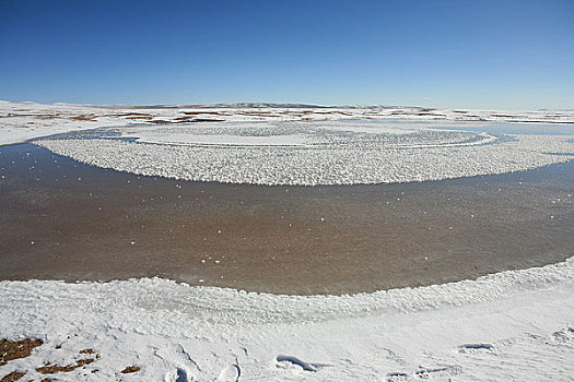 青海,可可西里,结冰的小湖泊