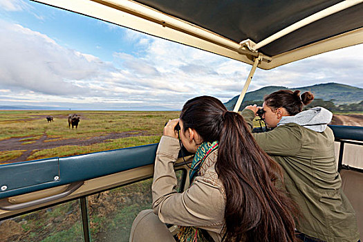 两个女孩,18岁,看,水牛,双筒望远镜,纳库鲁湖国家公园,肯尼亚,东非