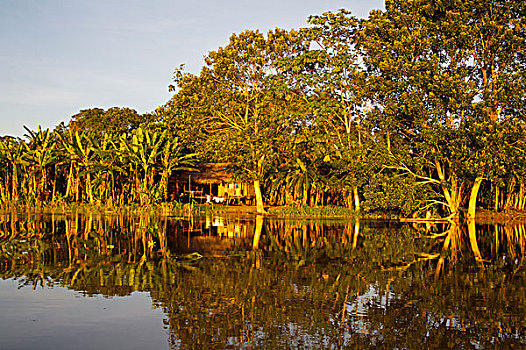 传统,亚马逊河,乡村