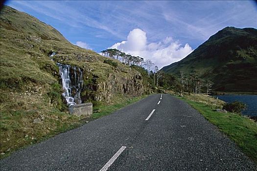 道路,通过,风景,湖,梅奥县,爱尔兰