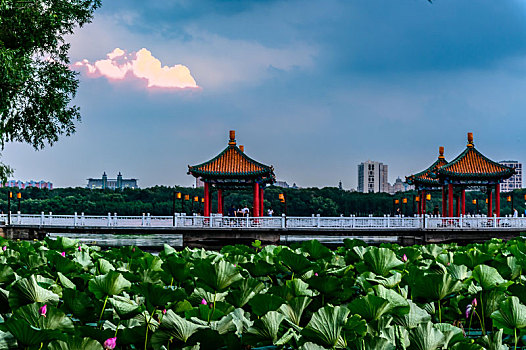 中国长春南湖公园景观
