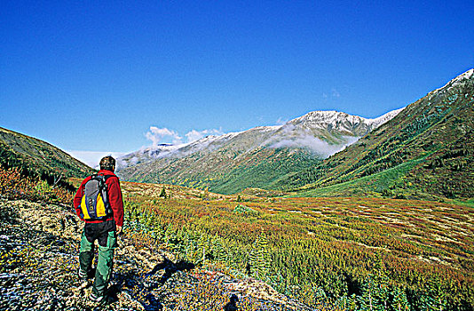 远足者,看,上方,湖,山谷,秋色,荒野,不列颠哥伦比亚省,加拿大