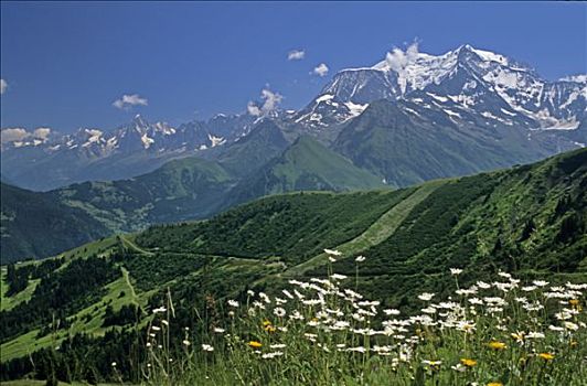 法国,上萨瓦省,勃朗峰,草地