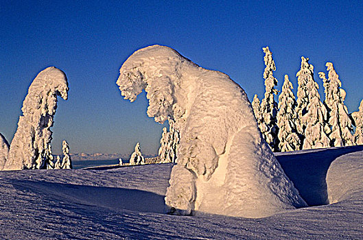 雪,灵异,省立公园,不列颠哥伦比亚省,加拿大