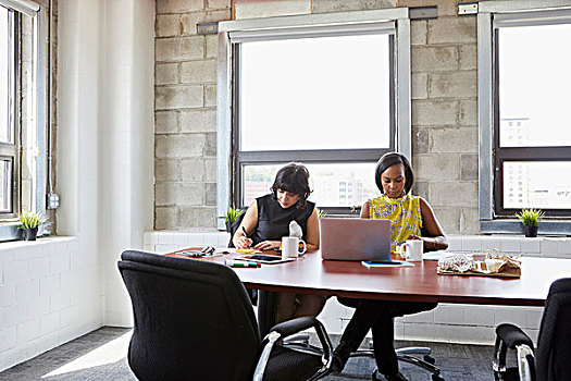 两个女人,坐,会议室,桌子,使用笔记本,文字,笔记本电脑