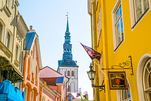爱沙尼亚塔林教堂铁塔小巷街道北欧哥特式建筑油画色彩