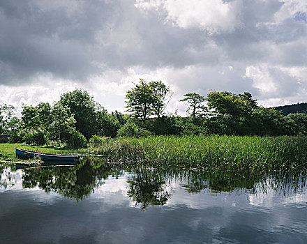 蓝色,木质,划桨船,躺着,岸边,湖,爱尔兰