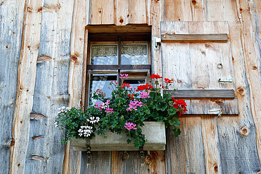窗户,百叶窗,天竺葵,山区木屋,奥伯斯多夫,斯瓦比亚,巴伐利亚,德国,欧洲