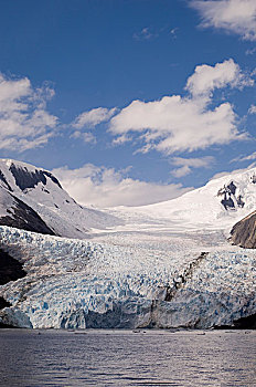 智利,巴塔哥尼亚,火地岛,国家公园,冰河