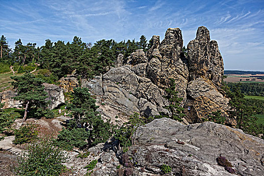 哈尔茨山,汉堡包