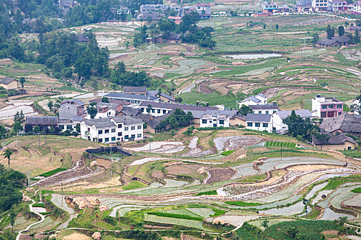 陕西,漩涡,梯田