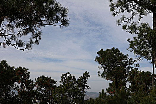 乌蒙风光美如画,贵州,威宁,乌蒙山,美丽,画卷,远山,村庄,田园,树木,自然,风光