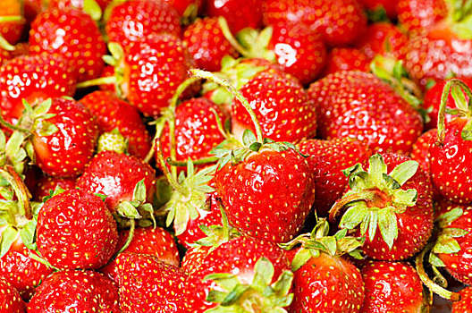 水果,概念,红色,草莓,放置,背景