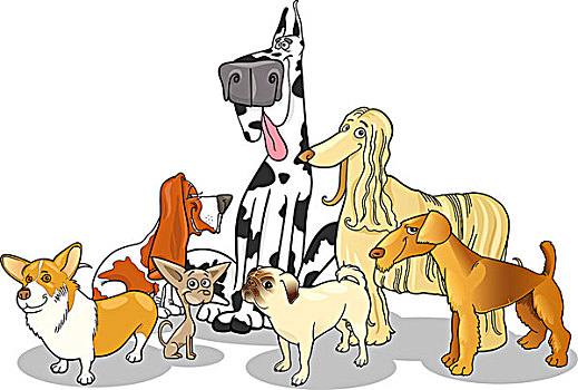 纯种动物,狗,多,卡通,插画