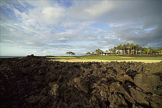 夏威夷,柯哈拉海岸,高尔夫球场,火山岩,石头,美元,家,背景