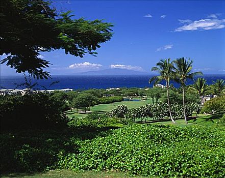 夏威夷,毛伊岛,蓝色,高尔夫球场,景色,俯视,远景,背景
