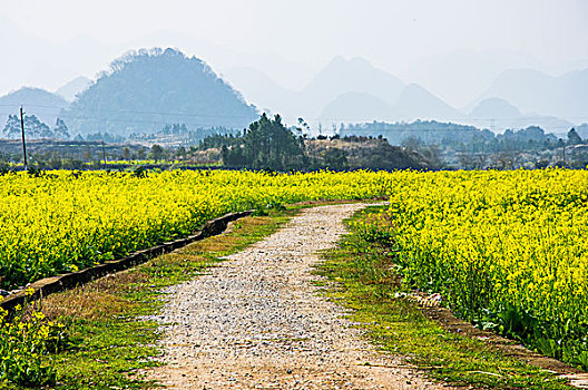 乡村小路