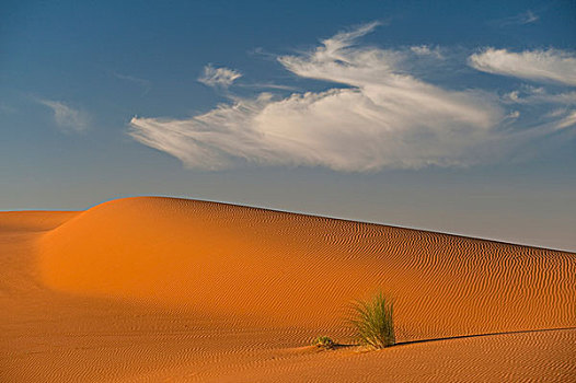 摩洛哥,沙丘,靠近,梅如卡,撒哈拉沙漠,却比沙丘,区域