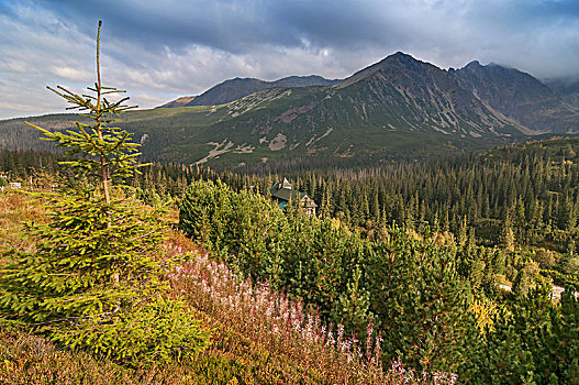 风景,山谷,山区木屋,高塔特拉,波兰