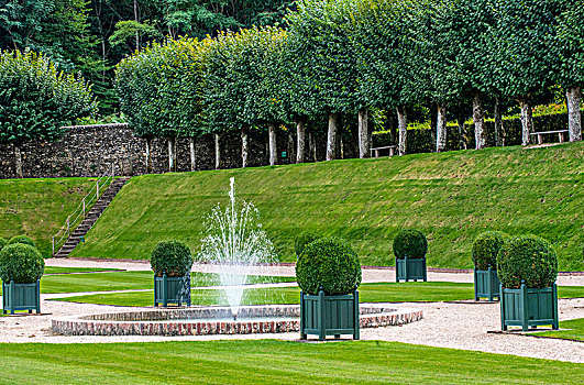 法国,卢瓦尔河,水景园,花园,维朗德里城堡