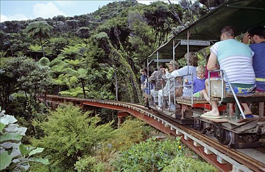 旅游,驾驶,溪流,铁路,狭窄,计量器,雨林,科罗曼德尔,半岛,新西兰
