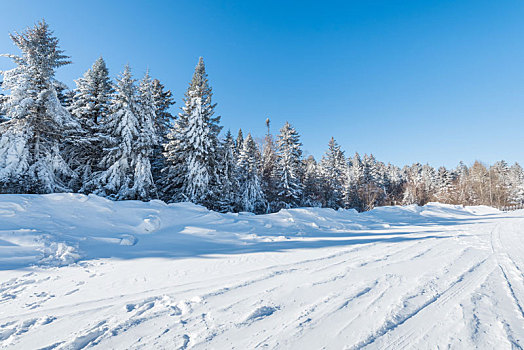 冬季长白山的雪地和雾凇