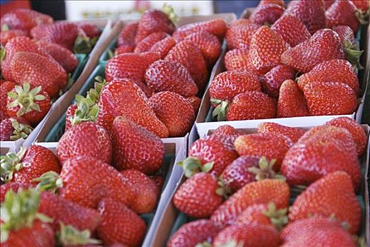 草莓,市场