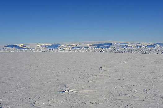 南极,威德尔海,迅速,冰,雪丘岛,背景
