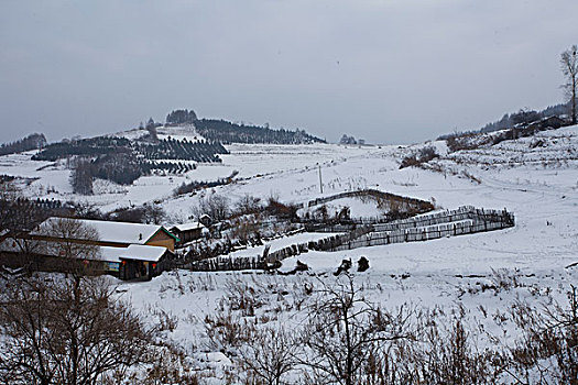 雪乡,雪村,吉林,临江市,村庄,山村,乡村,冬季,雪野,寒冷,农家,接待,旅游,松岭,东北,风情