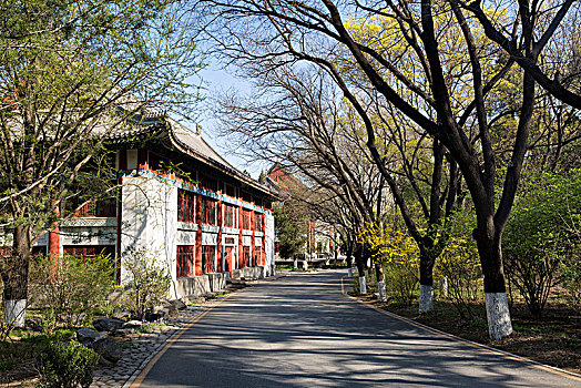 北京大学