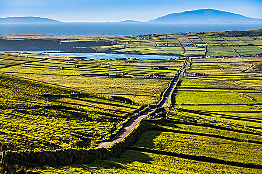 道路,景色,俯视,农田,斯凯利格,海岸,克俐环,凯瑞郡,爱尔兰