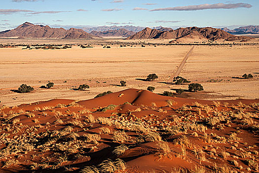 沙丘,草地,骆驼,刺,树,塞斯瑞姆,露营,山,纳米布沙漠,纳米比沙漠,公园,纳米比亚,非洲