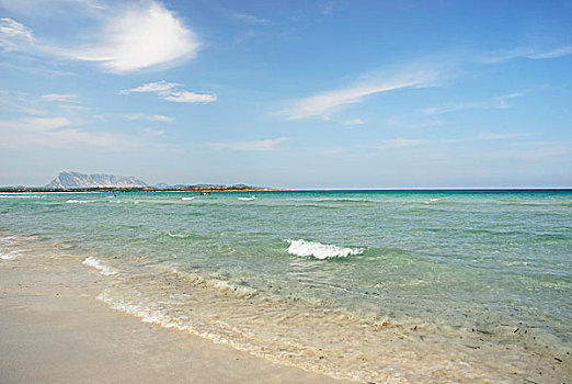 沙滩,水,萨丁尼亚,意大利,欧洲