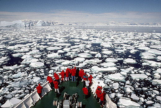 南极半岛,区域,探索者,浮冰,乘客