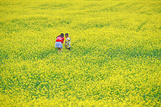 花丛姐弟