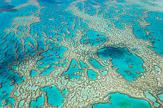 航拍,大堡礁,昆士兰,澳大利亚