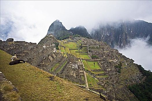 俯拍,遗址,山峦,马丘比丘,库斯科地区,秘鲁